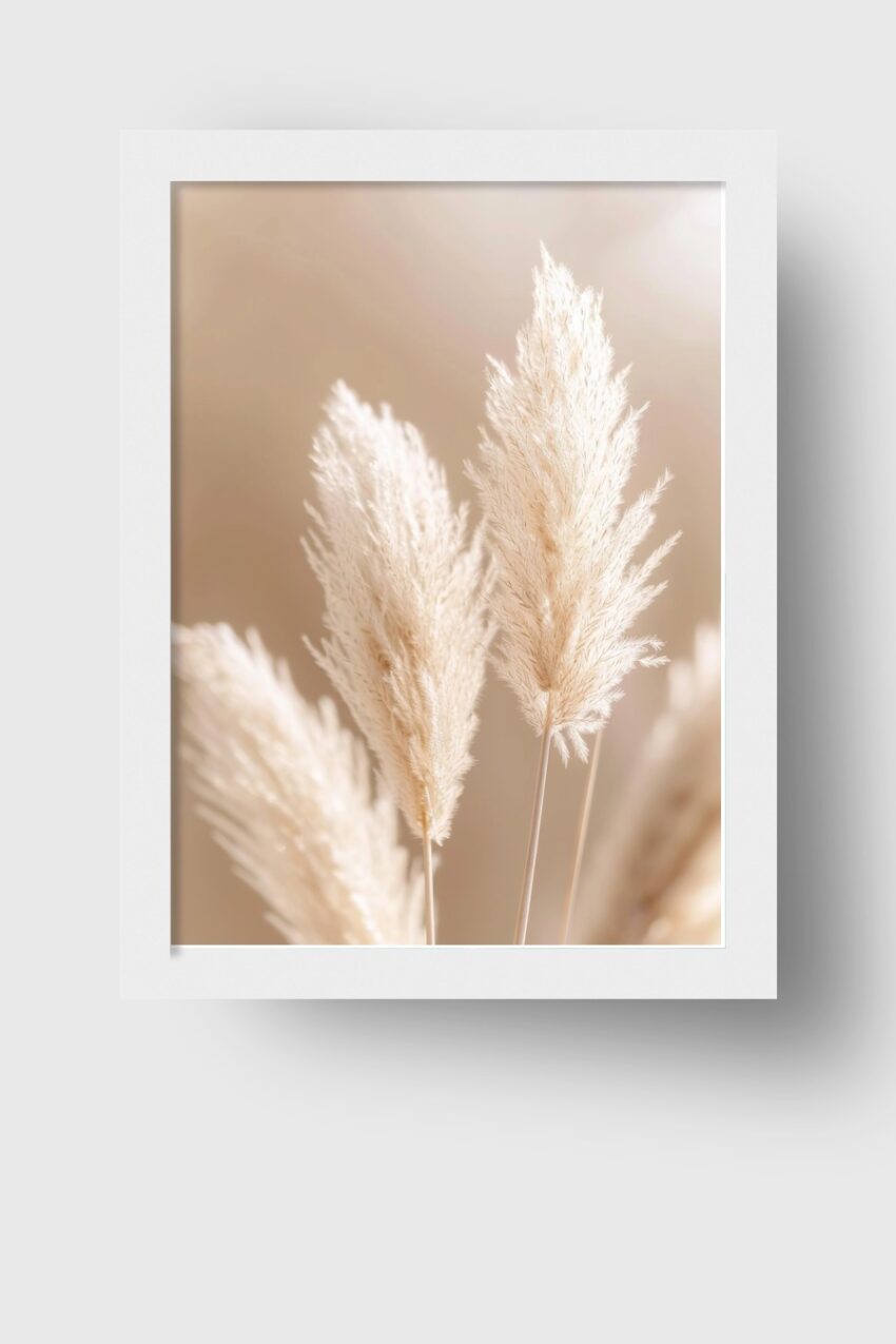 Fotografie Poster Pampasgras beige minimalistisch