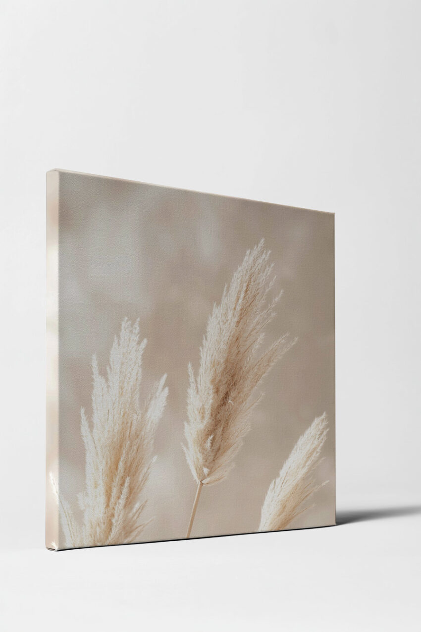 Fotografie Poster Pampasgras beige zart natürlich