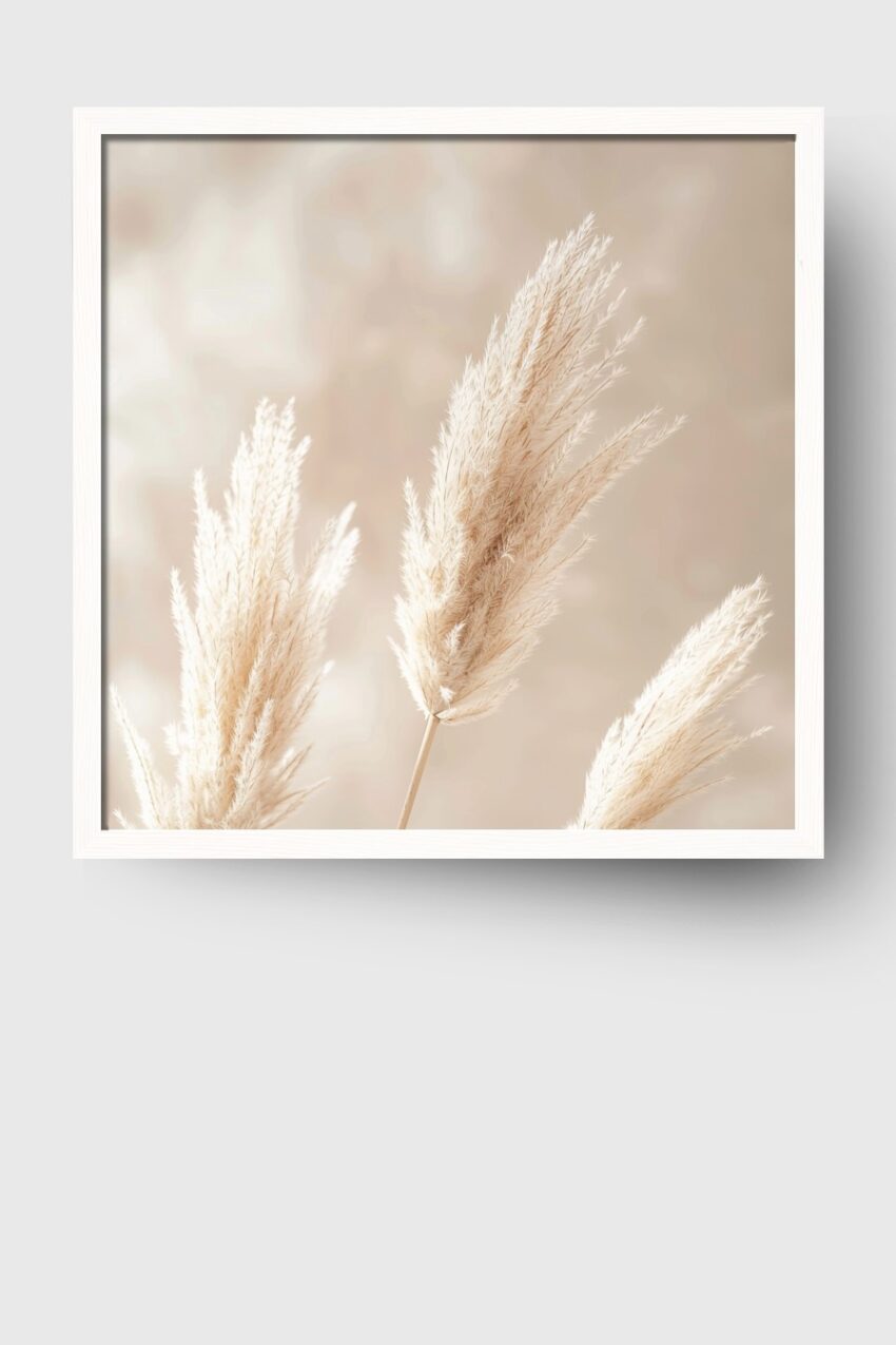 Fotografie Poster Pampasgras beige zart natürlich