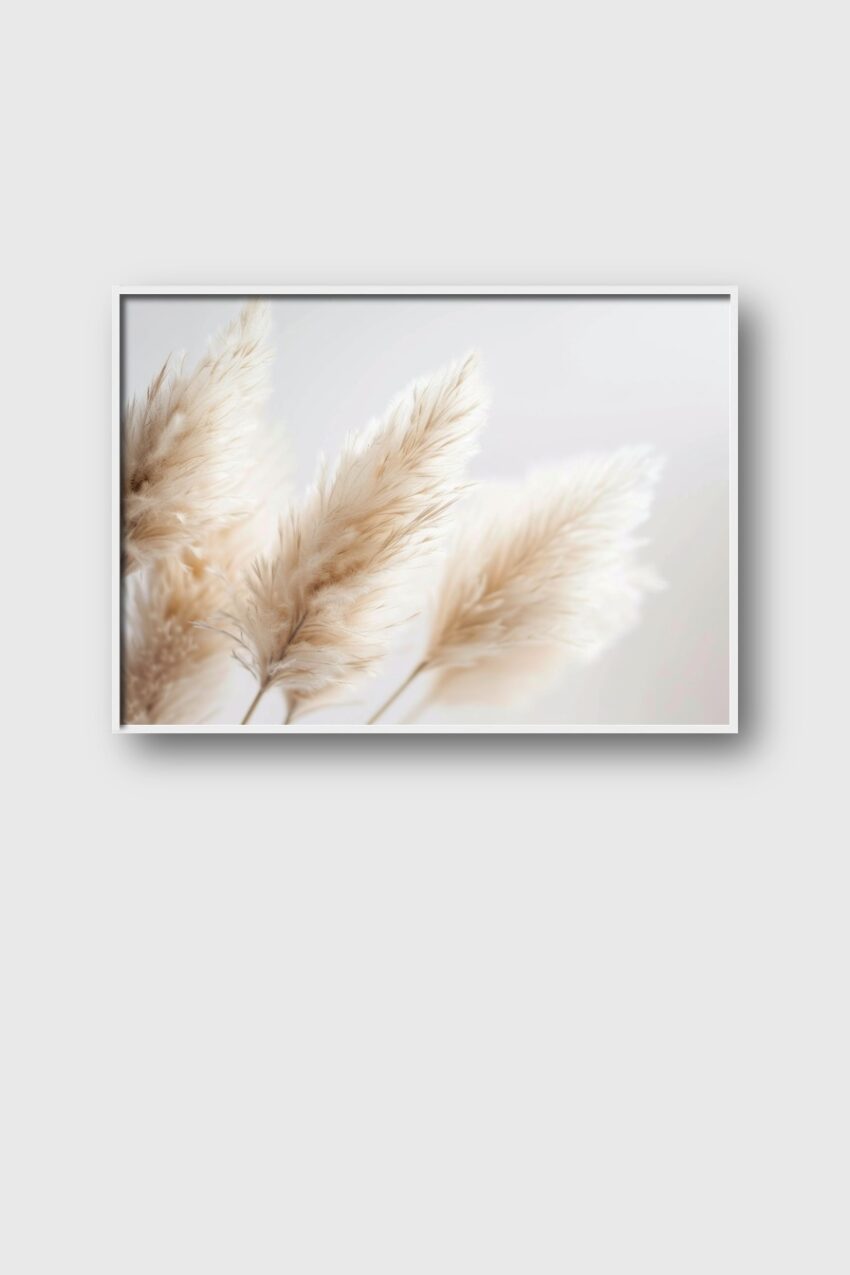 Fotografie Poster Pampasgras hell weich beige