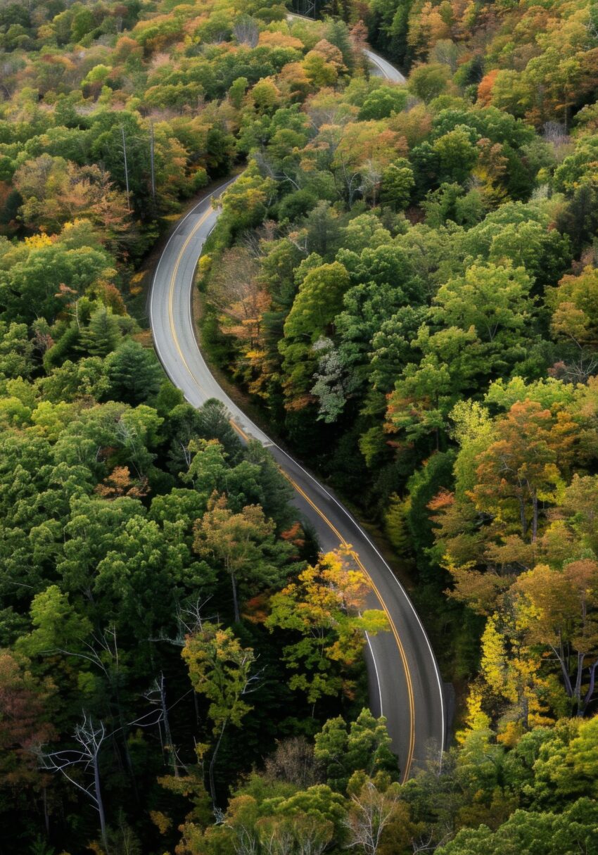 Fotografie Poster Straße Wald Kurve grün gelb herbstlich