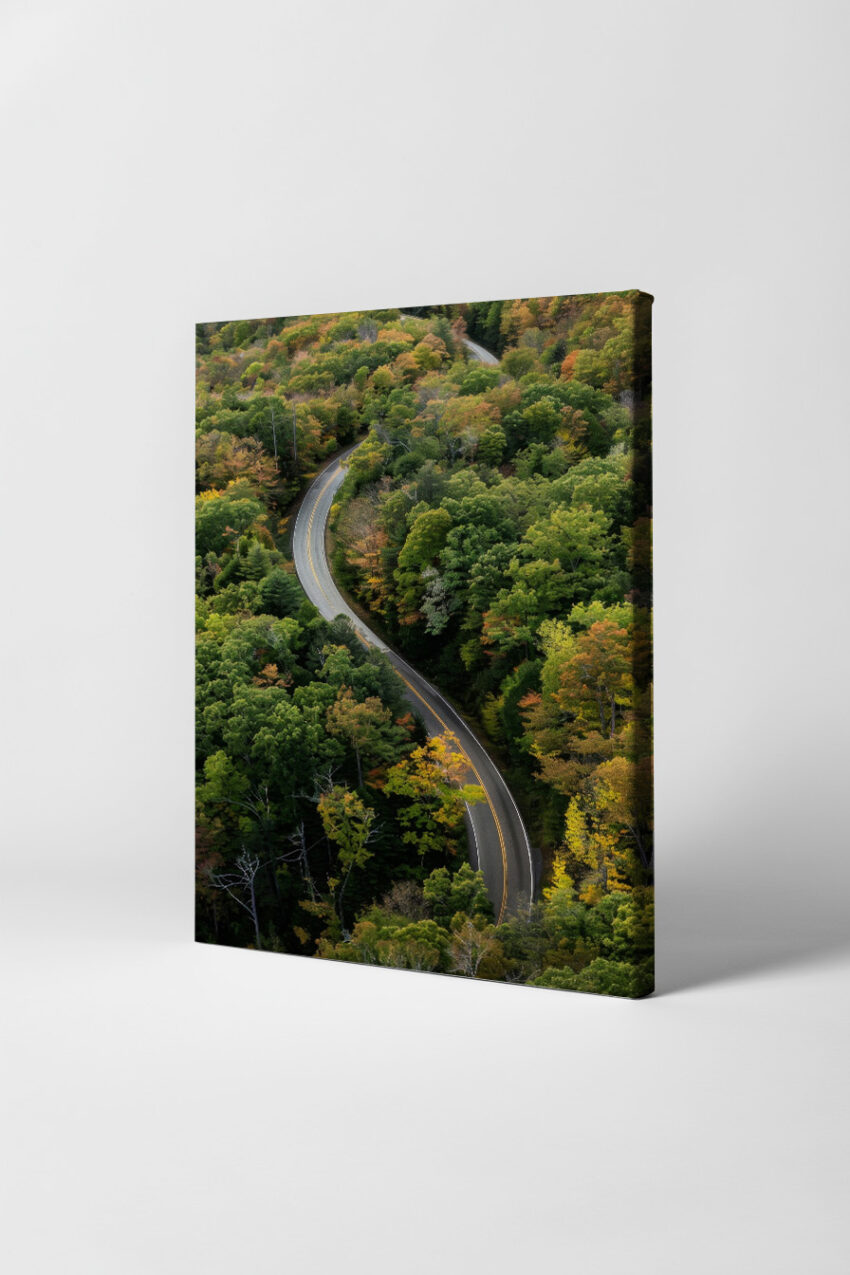 Fotografie Poster Straße Wald Kurve grün gelb herbstlich