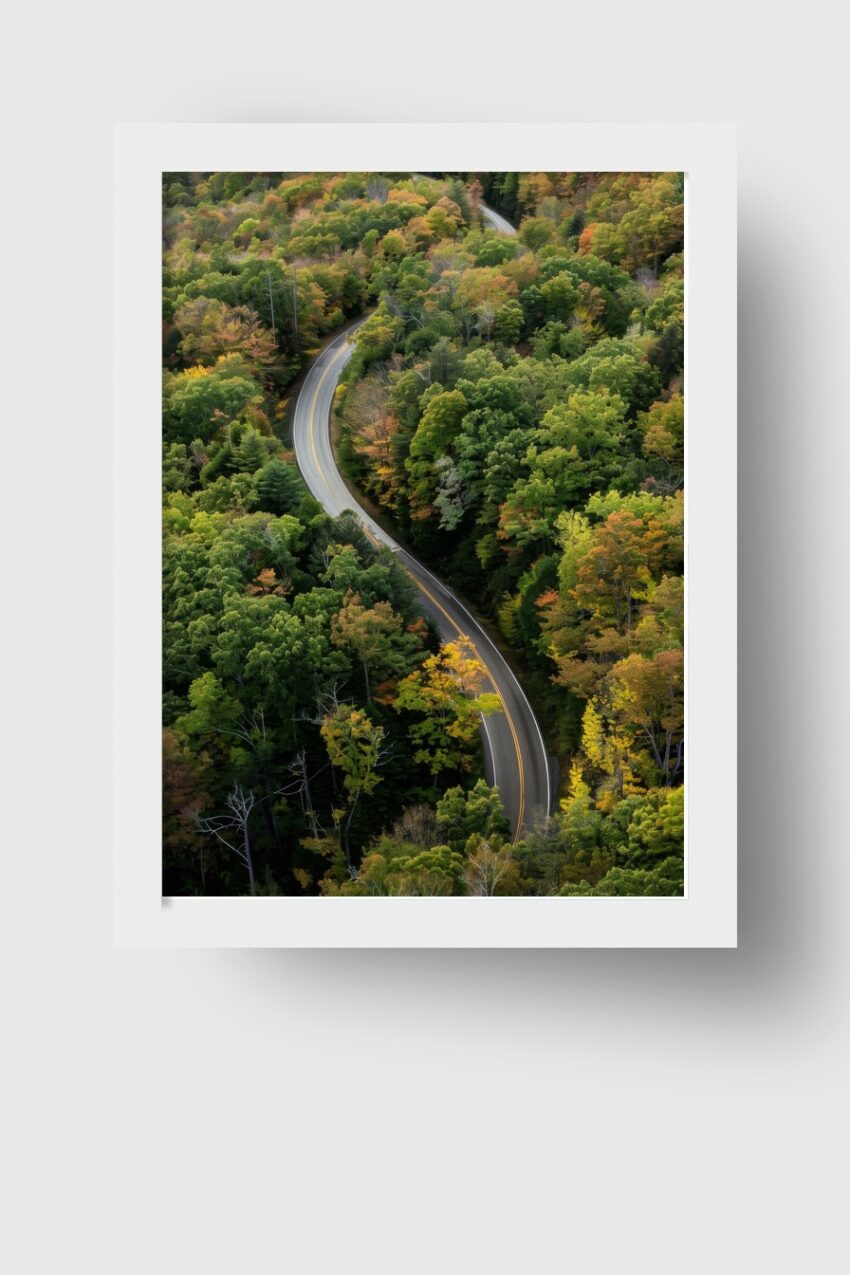 Fotografie Poster Straße Wald Kurve grün gelb herbstlich