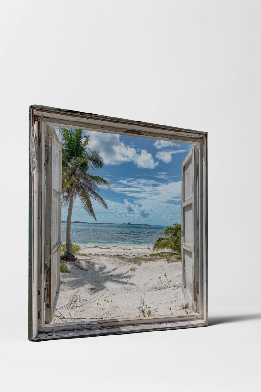 Fotografie Poster Strand Palmenschatten offenes Fenster Meer blau