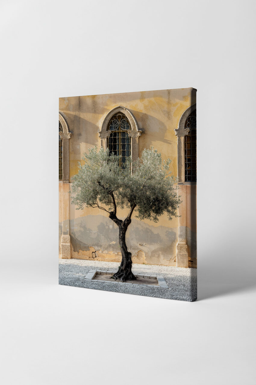 Fotografie Poster Olivenbaum knorrig mediterran beige