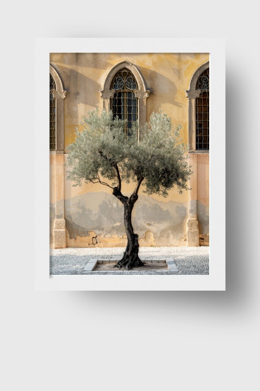 Fotografie Poster Olivenbaum knorrig mediterran beige