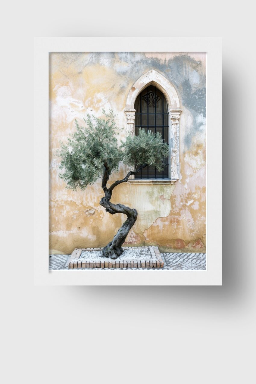 Fotografie Poster Olivenbaum knorrig Fenster mediterran