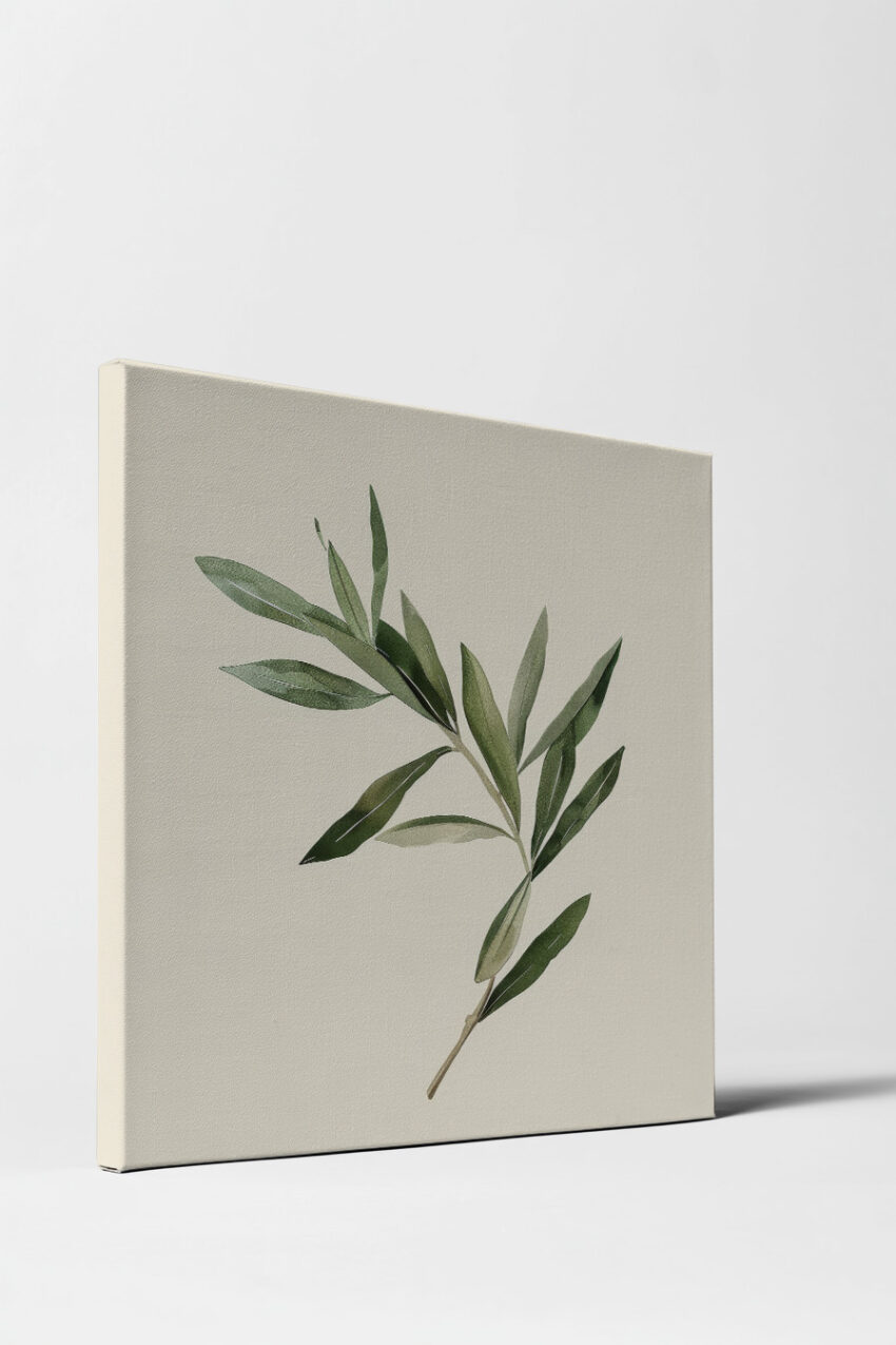 Illustration Poster Olivenzweig grün minimalistisch