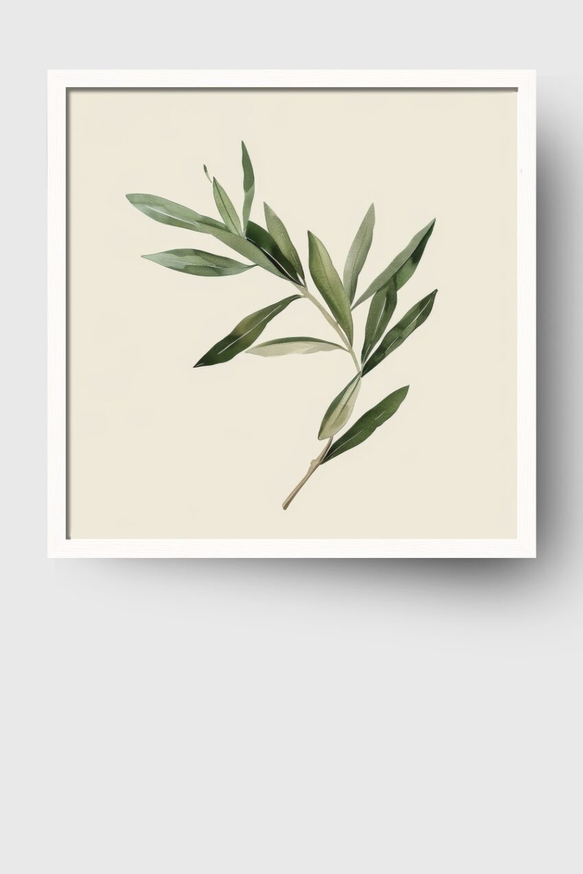 Illustration Poster Olivenzweig grün minimalistisch