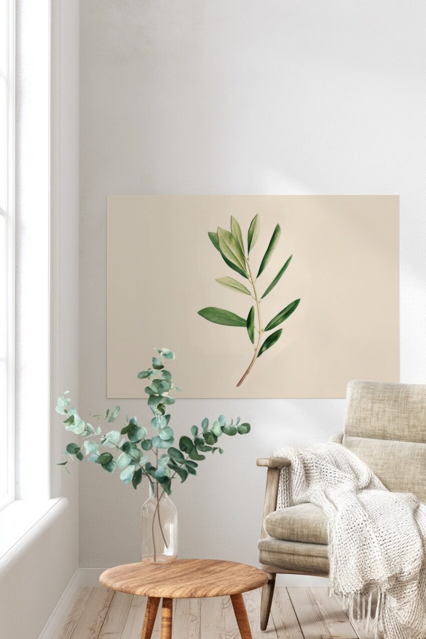 Illustration Poster Olivenzweig zart grün minimalistisch