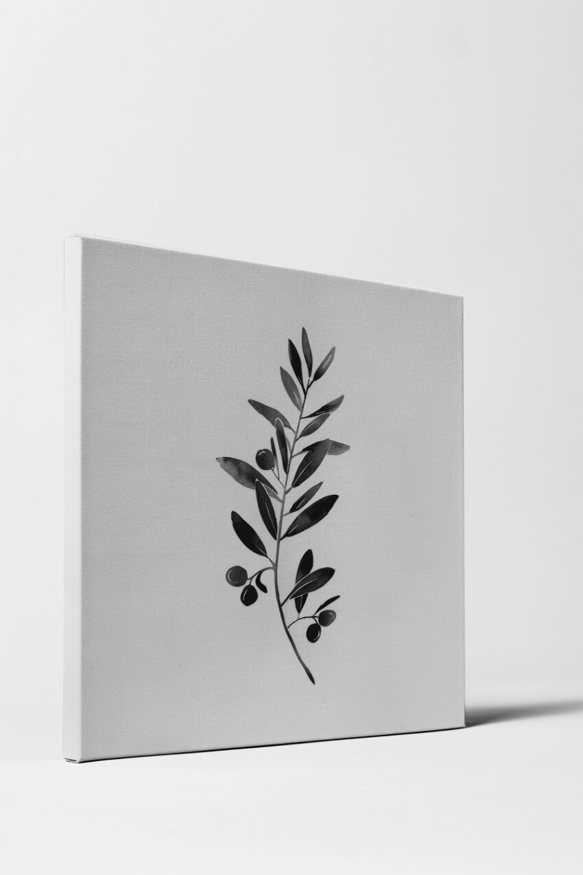 Fotografie Poster Olivenzweig schwarz-weiß minimalistisch