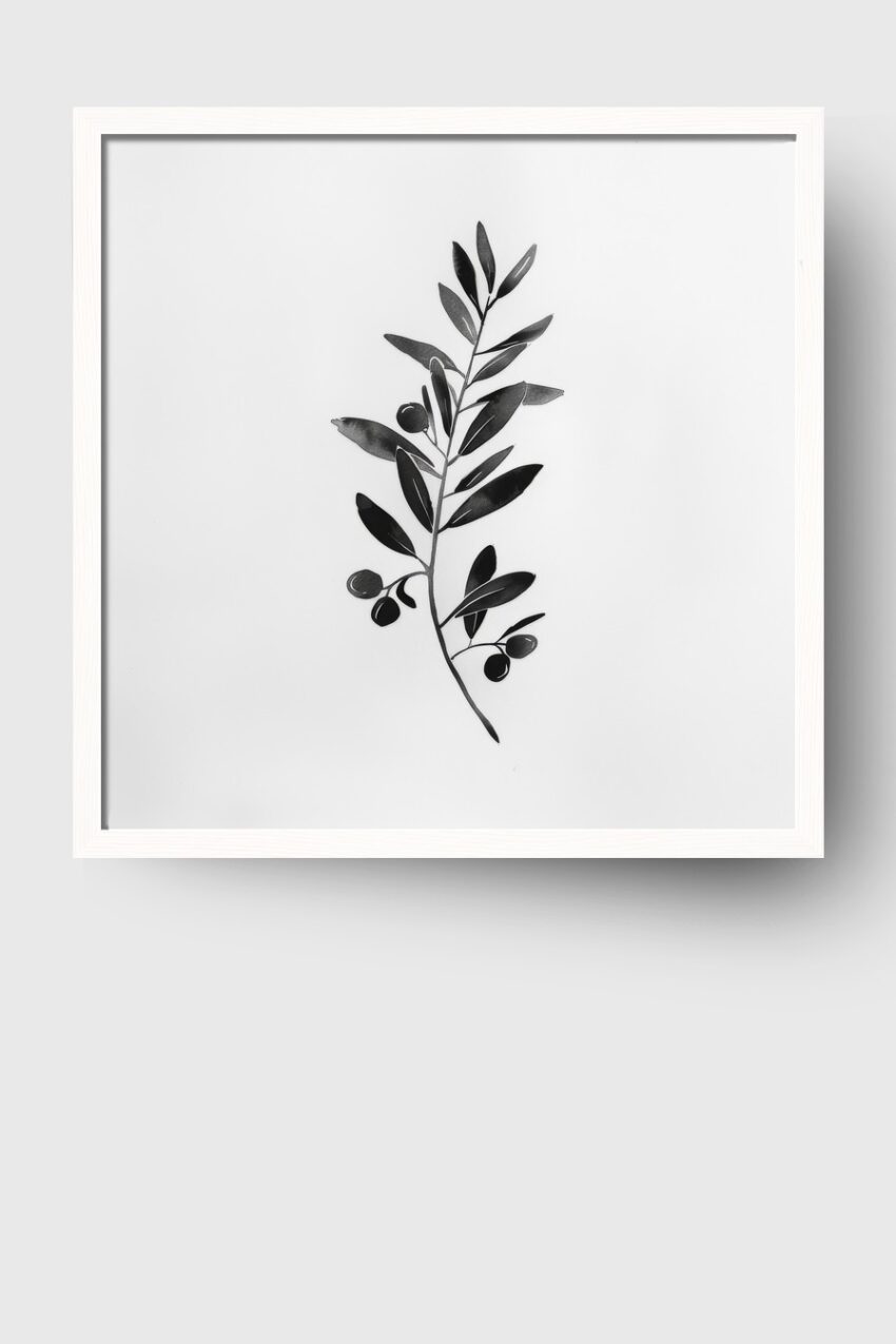Fotografie Poster Olivenzweig schwarz-weiß minimalistisch