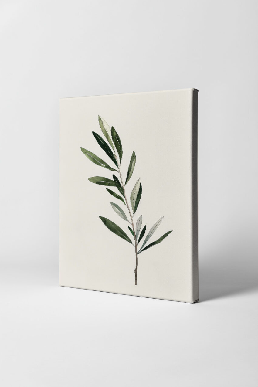 Illustration Poster Olivenzweig minimal grün