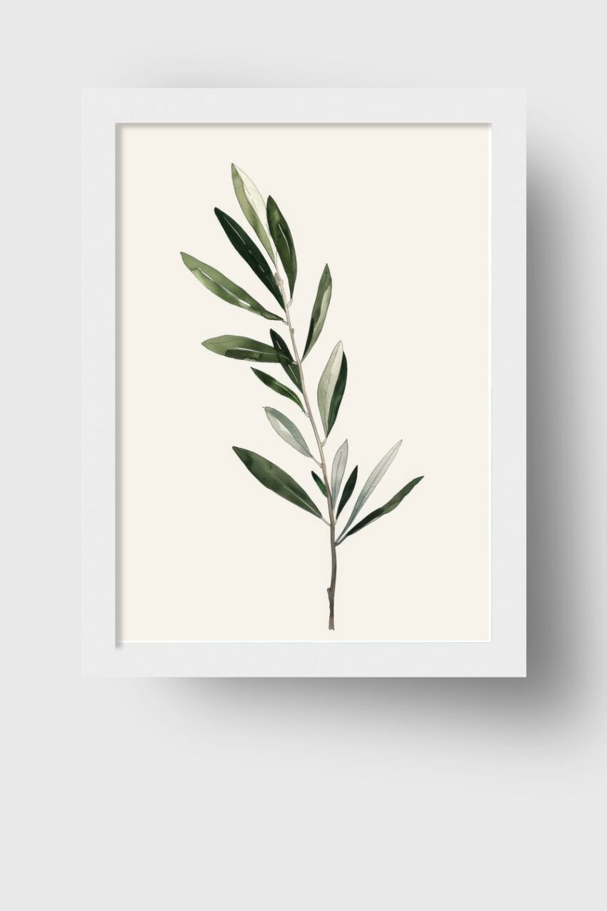 Illustration Poster Olivenzweig minimal grün