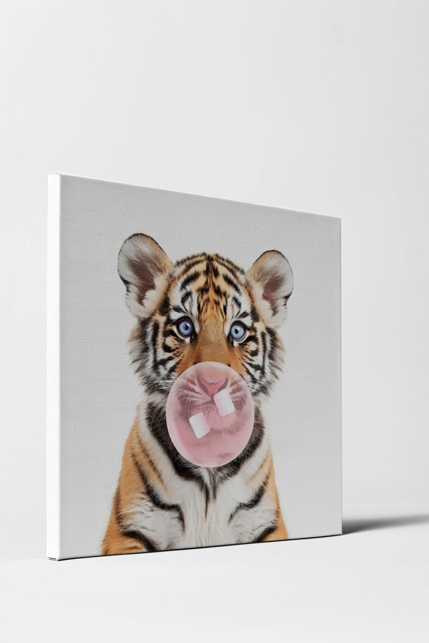 Fotografie Poster Tigerjunges rosa Blase blau