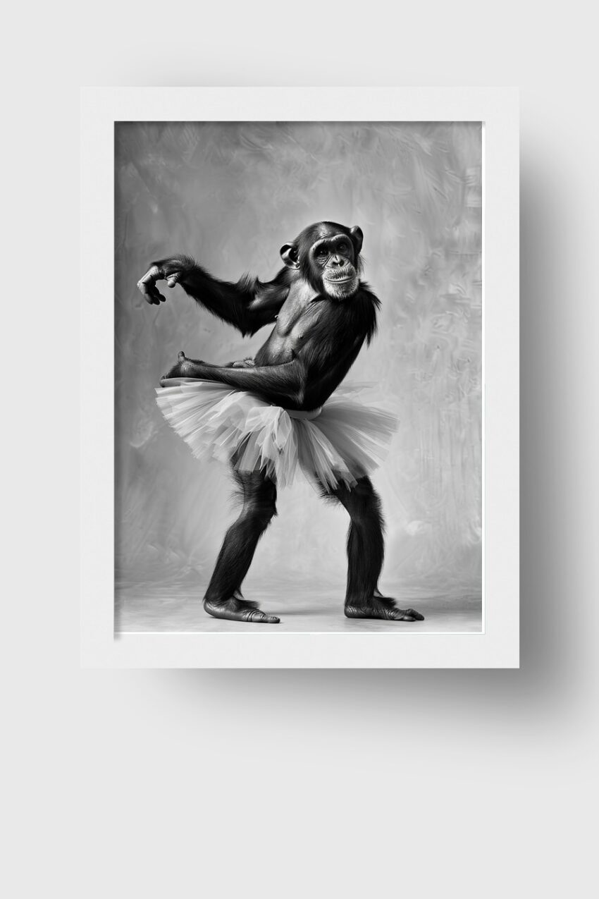 Fotografie Poster Schimpanse Tutu schwarz-weiß detailreich elegant