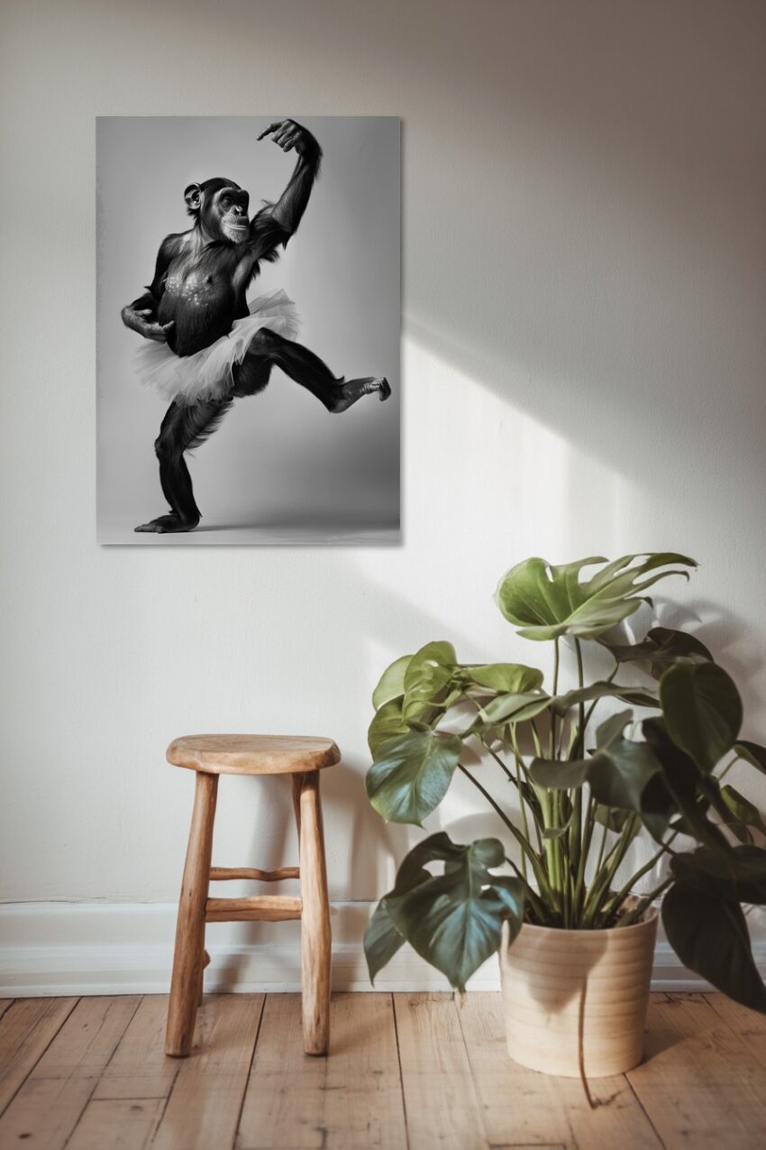 Fotografie Poster Schimpanse Tutu schwarz-weiß elegant