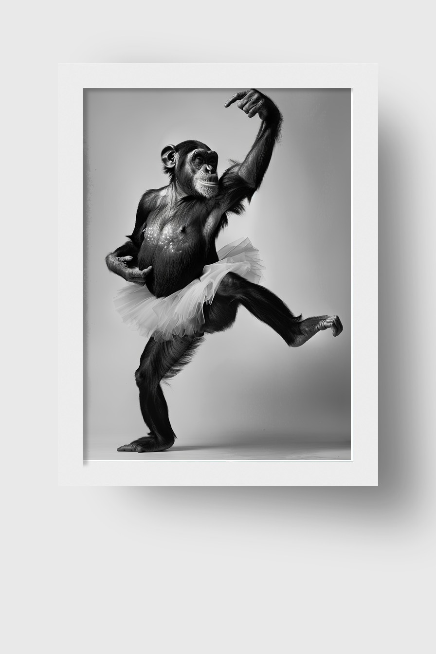 Fotografie Poster Schimpanse Tutu schwarz-weiß elegant