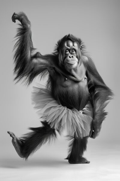 Orang-Utan Tutu Poster