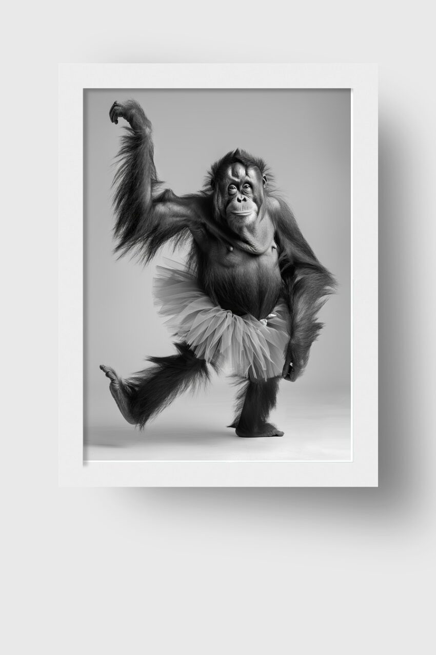 Fotografie Poster Orang-Utan tanzend schwarz-weiß