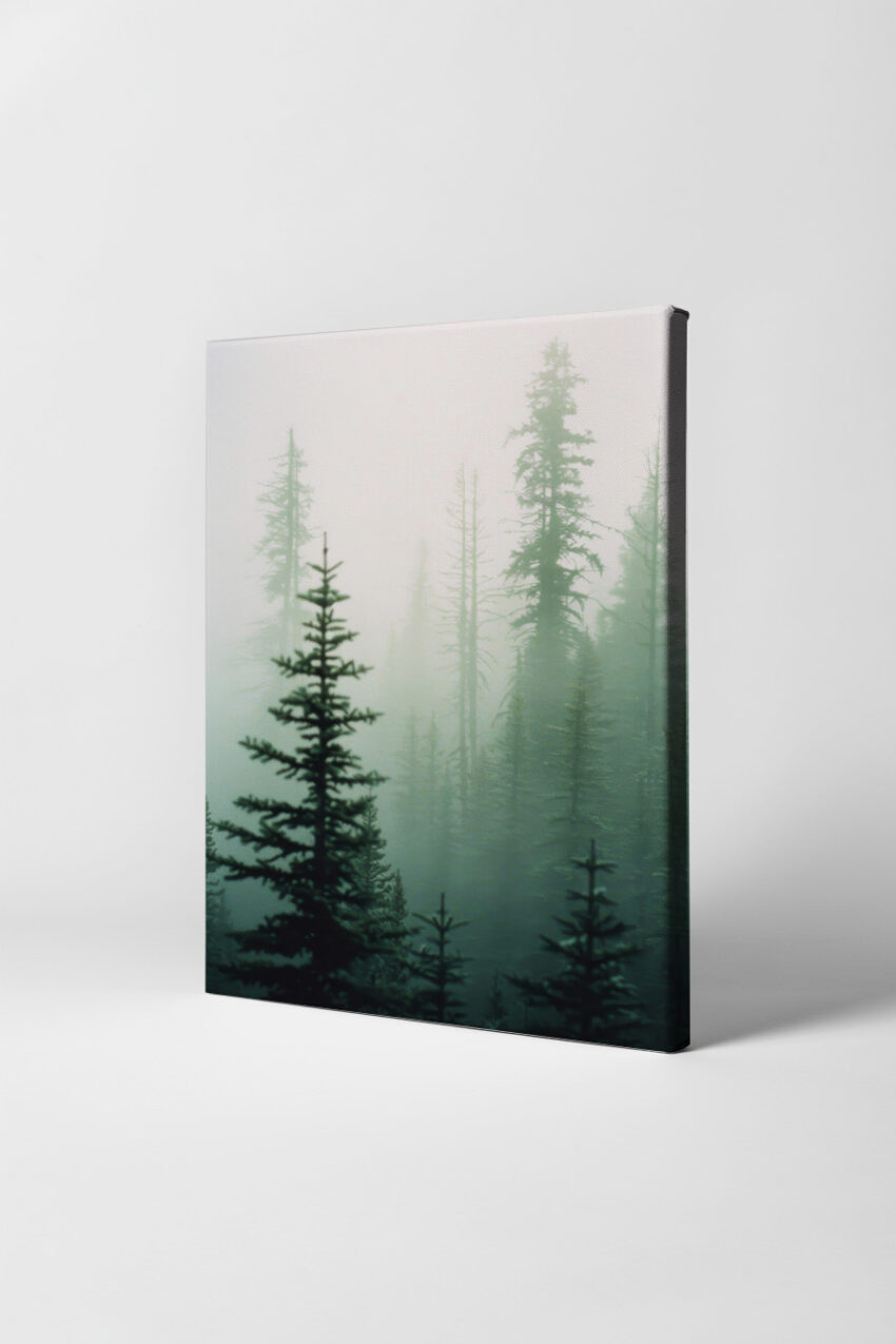 Fotografie Poster Tannenwald Nebel grün verschwommen