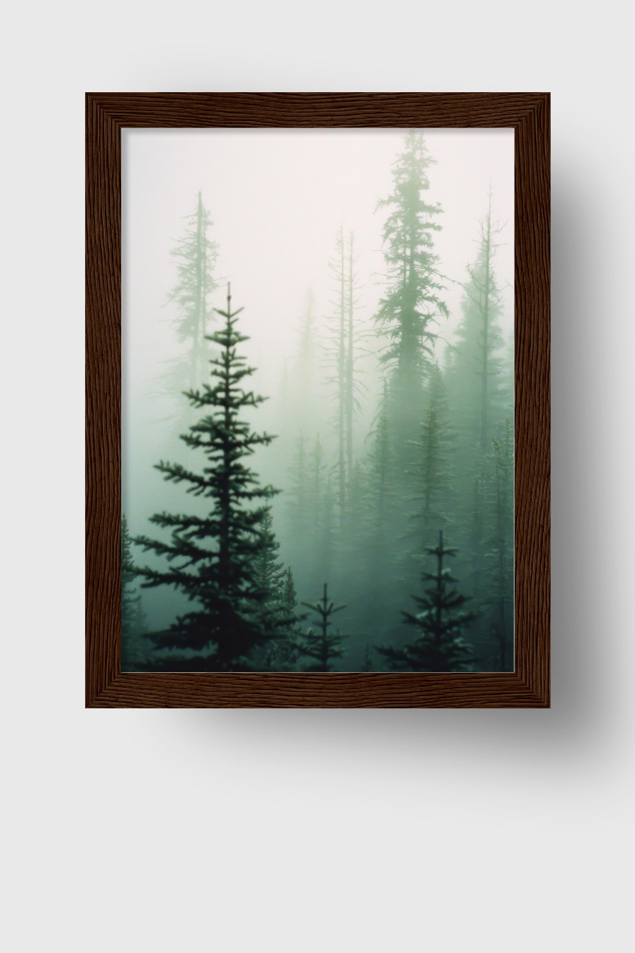 Fotografie Poster Tannenwald Nebel grün verschwommen