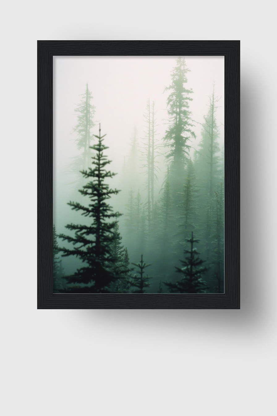 Fotografie Poster Tannenwald Nebel grün verschwommen
