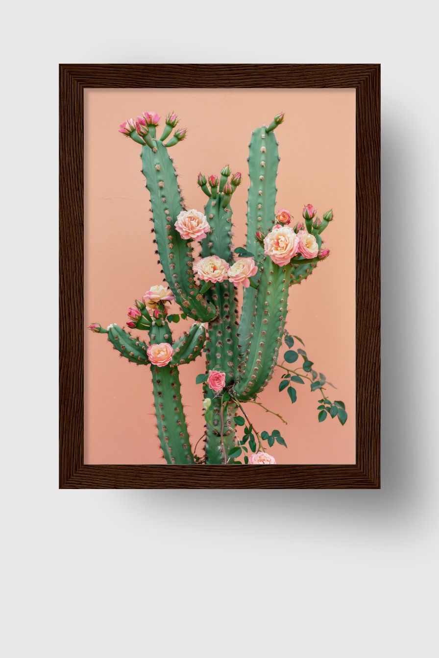 Fotografie Poster Kaktus rosa Blüten grün rosa