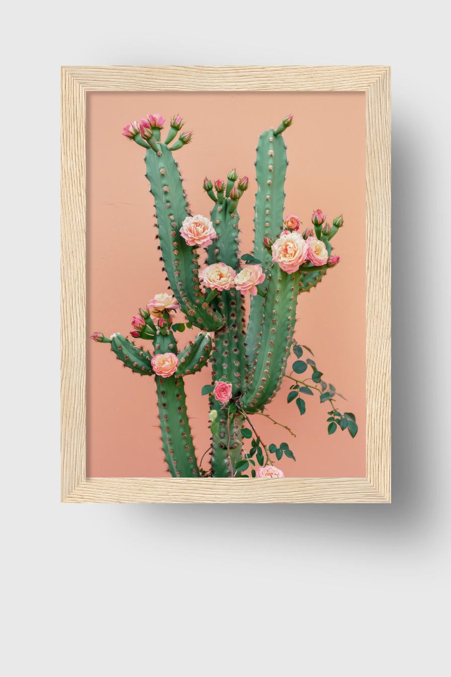 Fotografie Poster Kaktus rosa Blüten grün rosa