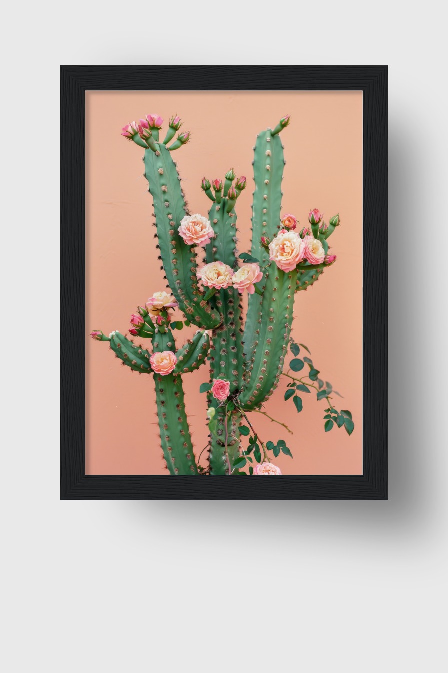 Fotografie Poster Kaktus rosa Blüten grün rosa