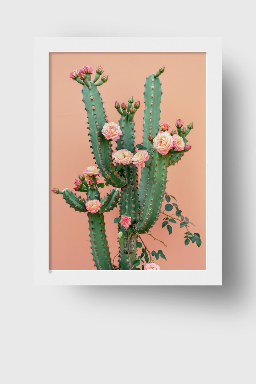 Fotografie Poster Kaktus rosa Blüten grün rosa