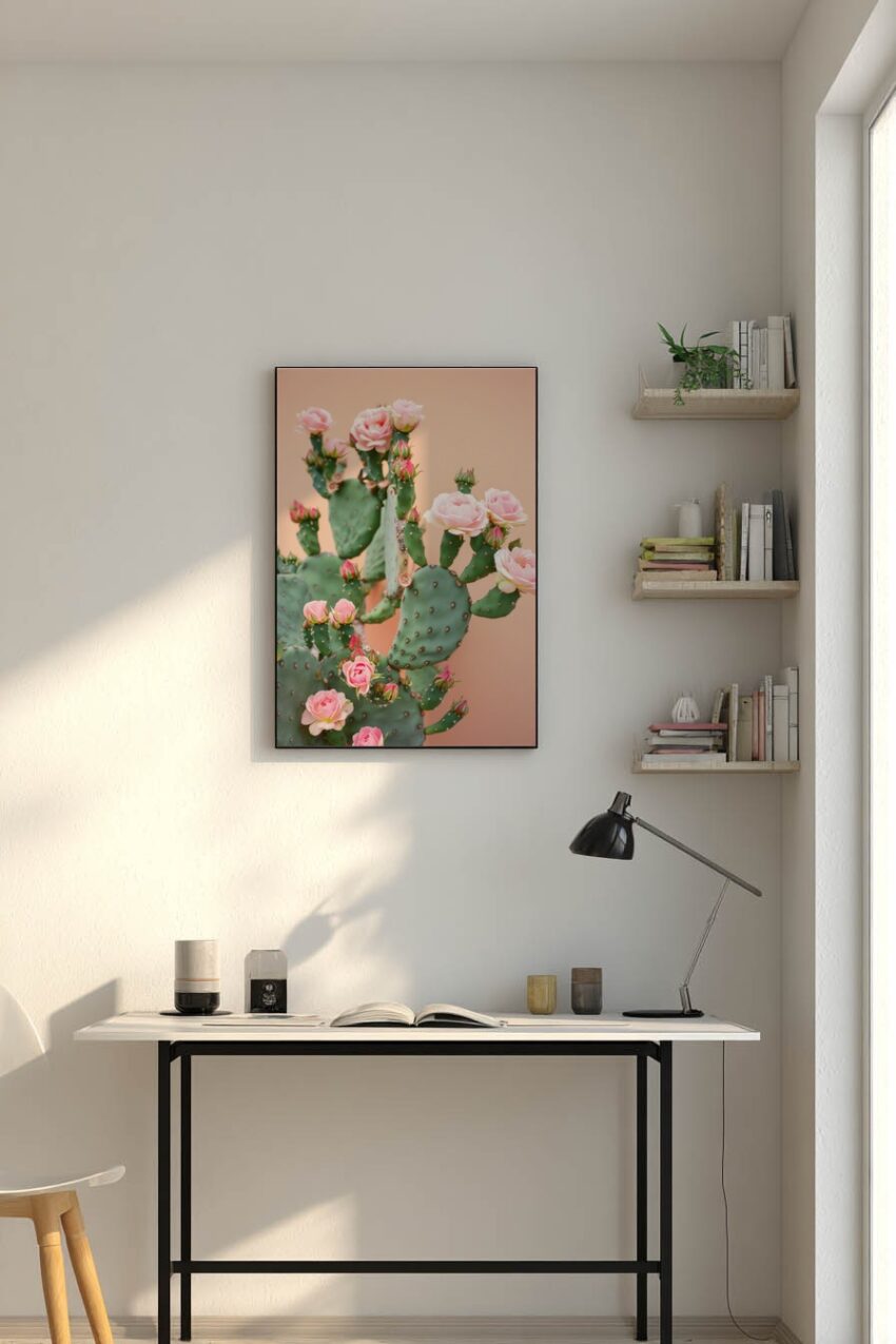 Fotografie Poster Kakteenblüten rosa grün