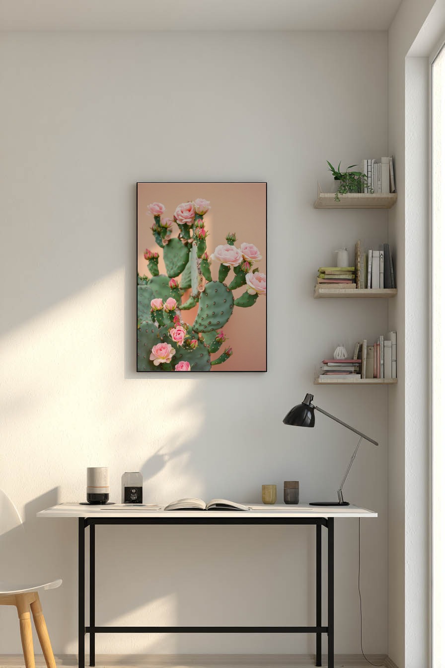 Fotografie Poster Kakteenblüten rosa grün