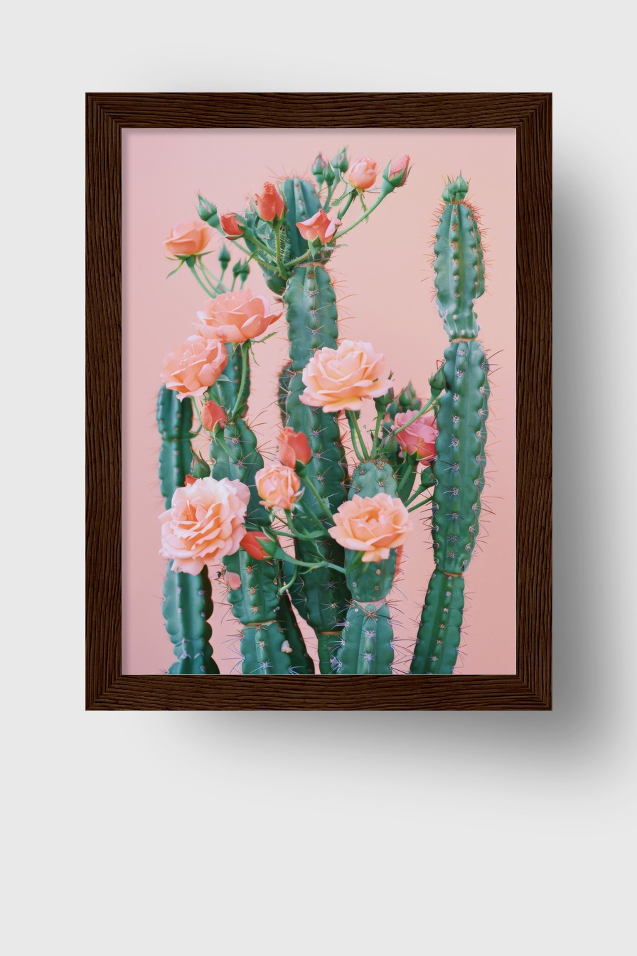 Fotografie Poster Kaktus Rosen grün rosa