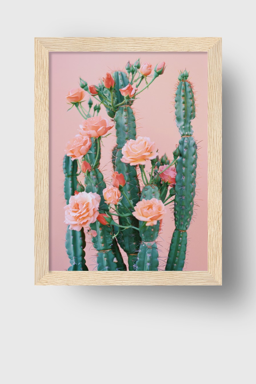 Fotografie Poster Kaktus Rosen grün rosa