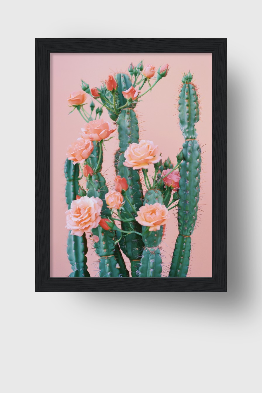 Fotografie Poster Kaktus Rosen grün rosa