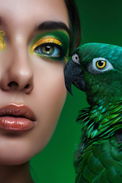 Papagei Nahaufnahme Poster