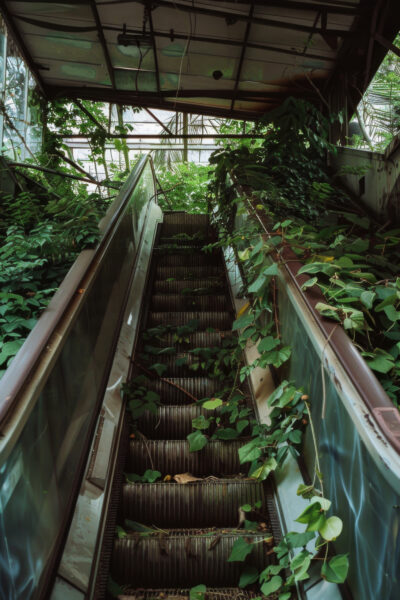 Rolltreppe Überwuchert Gerahmt