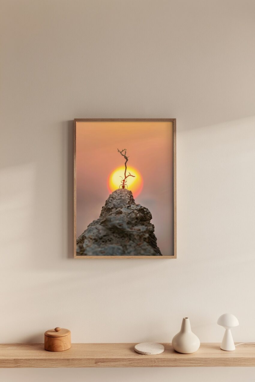 Fotografie Poster Ameise Sonne rot minimalistisch