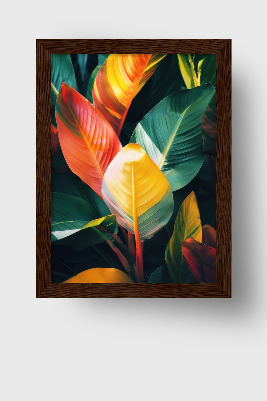 Fotografie Poster Blatt bunt tropisch farbig
