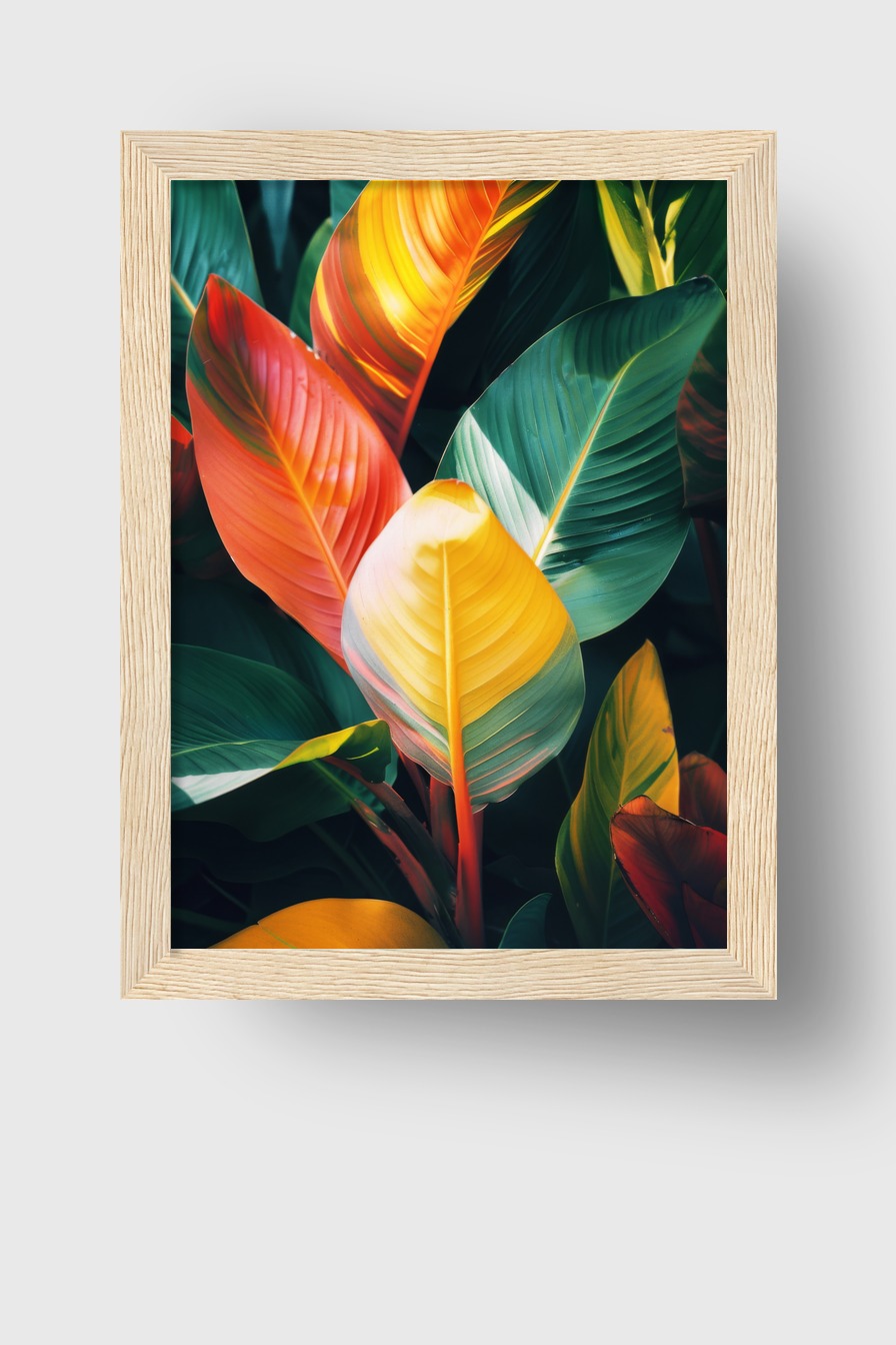Fotografie Poster Blatt bunt tropisch farbig