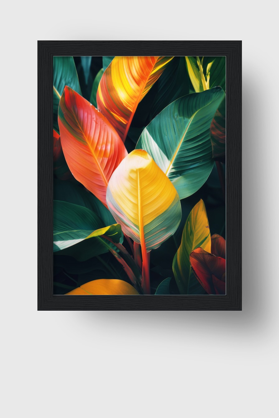 Fotografie Poster Blatt bunt tropisch farbig