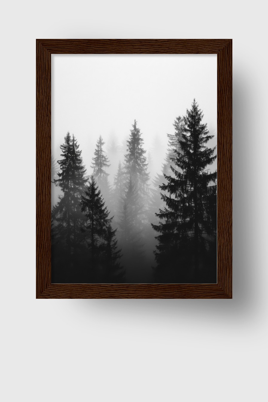 Fotografie Poster Tannenwald Nebel schwarz-weiß