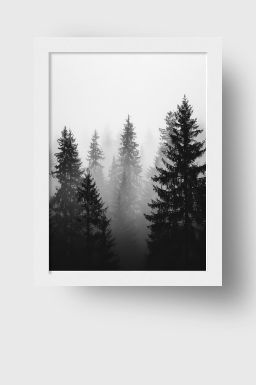 Fotografie Poster Tannenwald Nebel schwarz-weiß