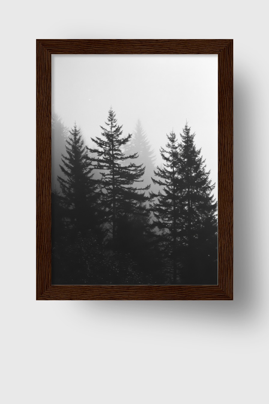 Fotografie Poster Wald Nebel schwarz-weiß