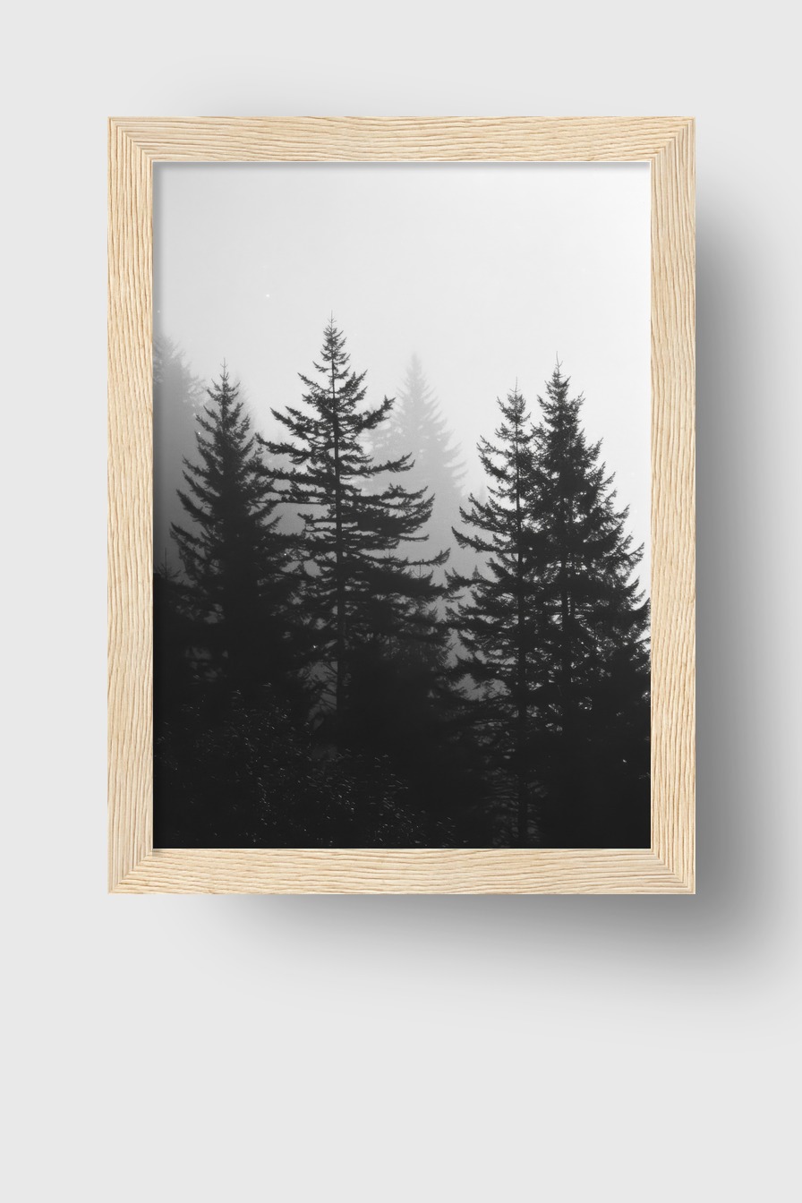Fotografie Poster Wald Nebel schwarz-weiß