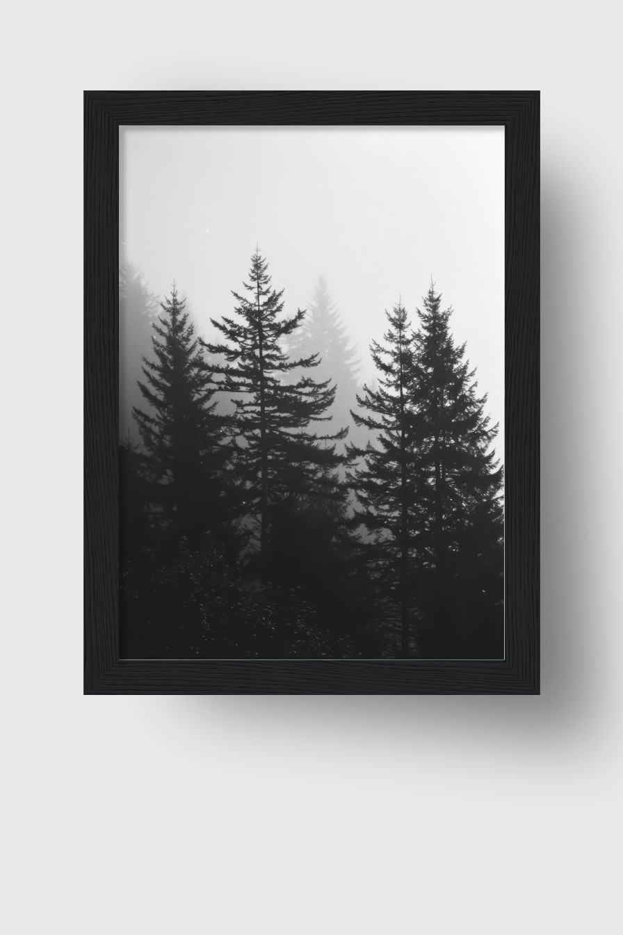 Fotografie Poster Wald Nebel schwarz-weiß