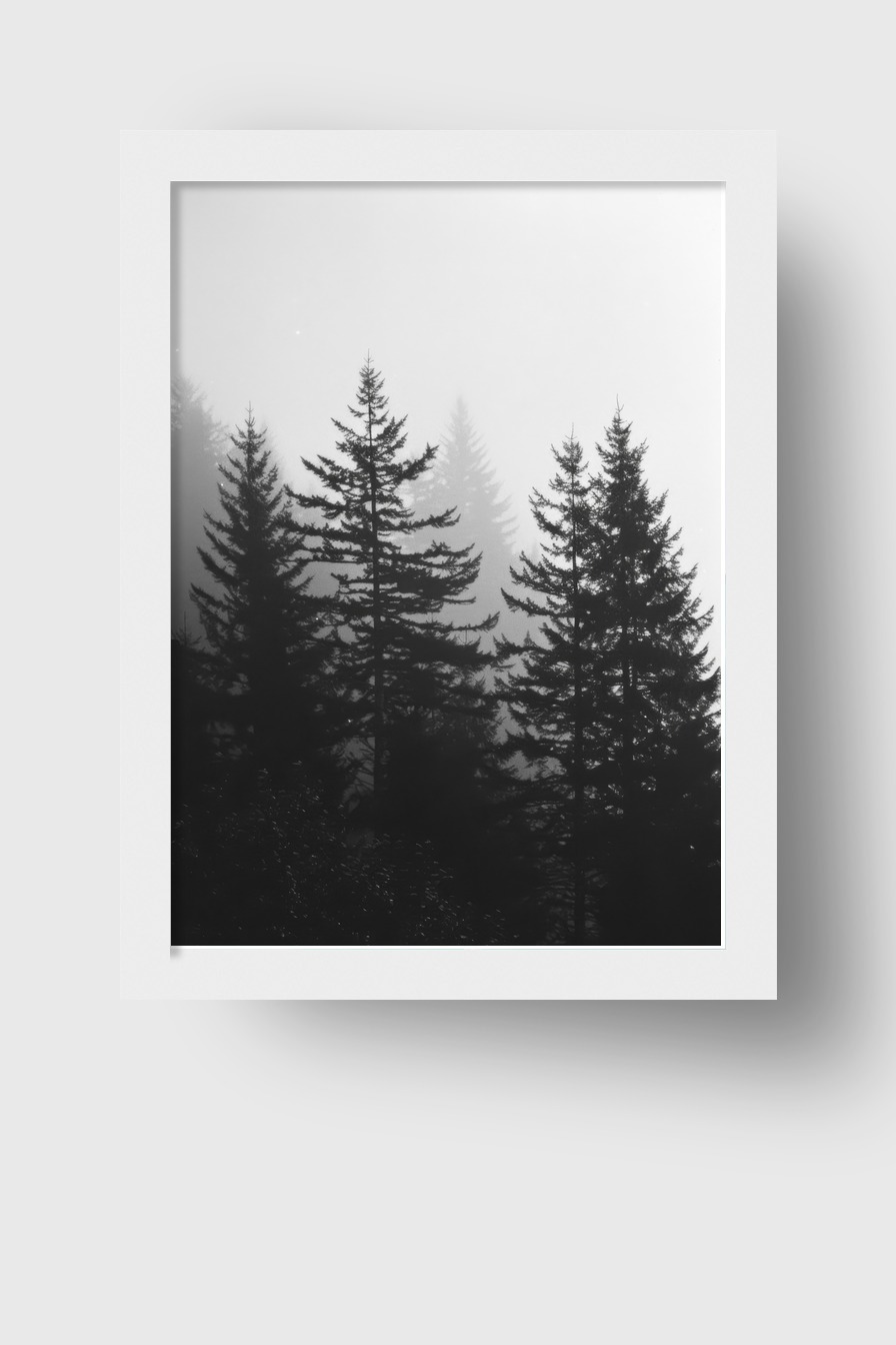 Fotografie Poster Wald Nebel schwarz-weiß