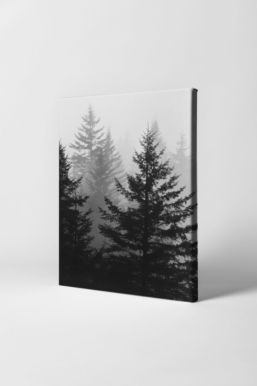 Fotografie Poster Nebelwald schwarz weiß Tannen
