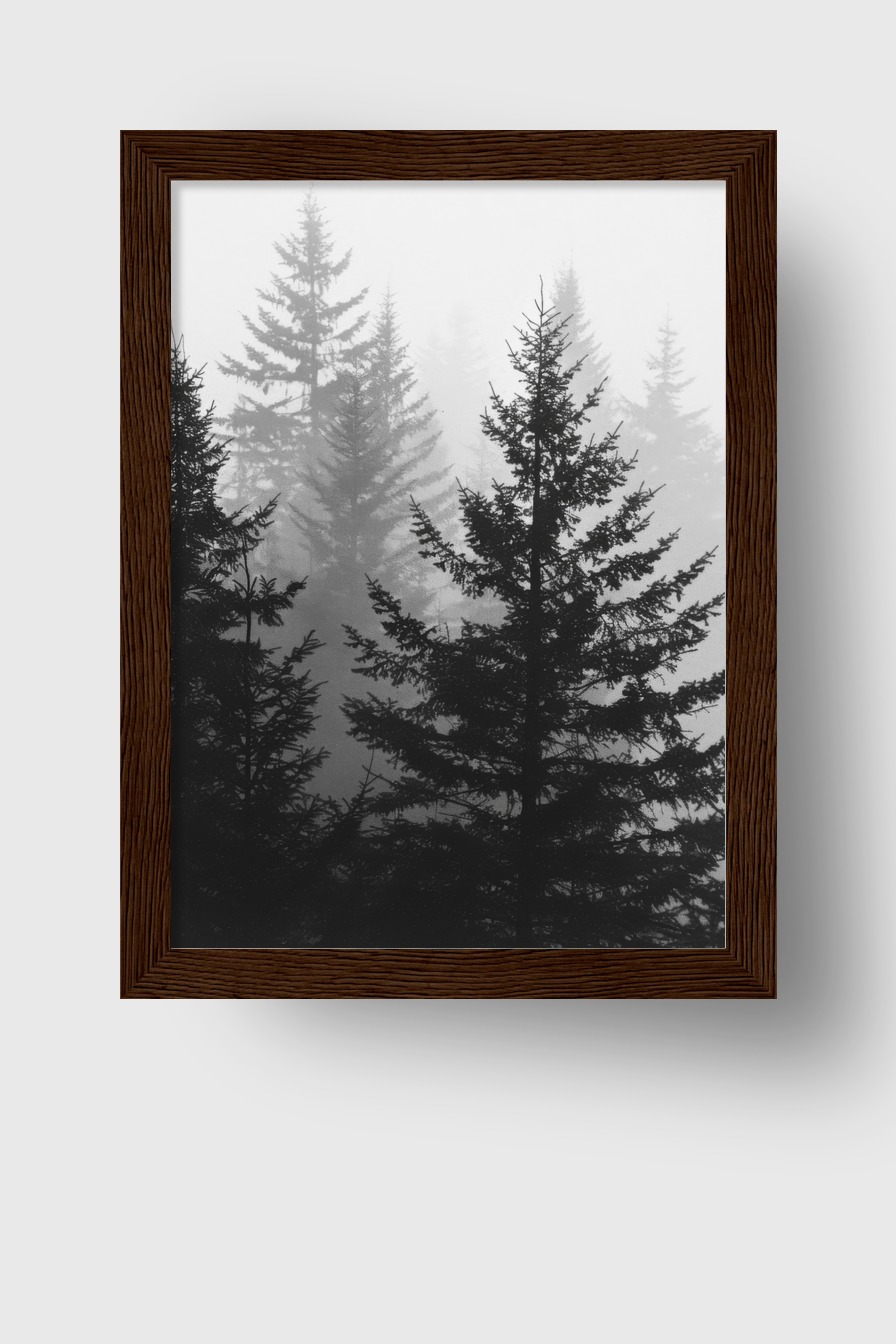 Fotografie Poster Nebelwald schwarz weiß Tannen